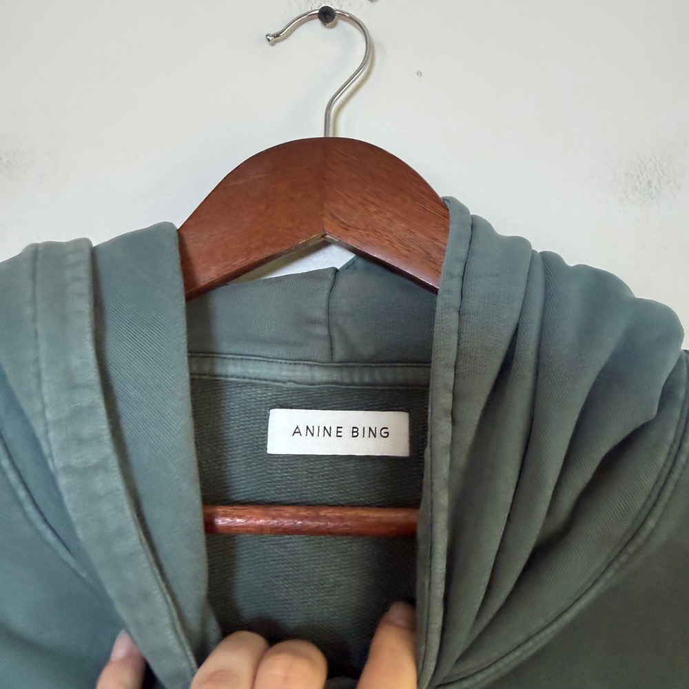 Anine Bing Harvey Eagle Graphic Oversized Hoodie Size Medium Faded Green - Picture 4 of 5